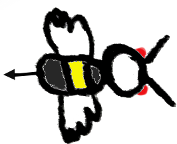 Bee