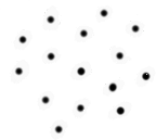 Flies