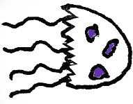 Jellyfish