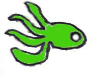 Squid
